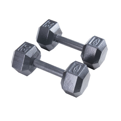 Painting Dumbbell With Chrome Handle
